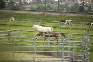 Flurwald Weiden