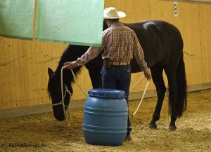 Alfonso beruhigt das Pferd