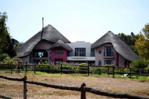 Collingwood Stud - Haupthaus