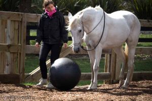 Der Ball