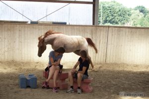 Spielen im Round Pen