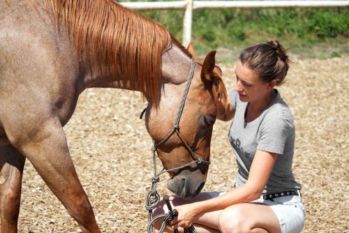 Entspannung mit dem Pferd