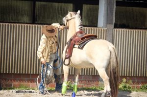 Horsemanship Paul Dietz