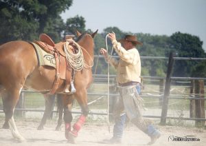 Horsemanship Paul Dietz