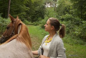 Im Gelände mit dem Pferd