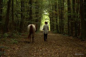 Spazieren gehen mit dem Pferd