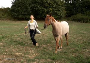 Mehr Sicherheit mit dem Pferd