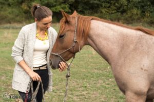Carey - Quarterhorse