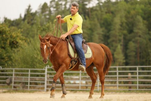 Pferdetrainer Bernd Hackl beim Reiten (Foto: Zauberwald)