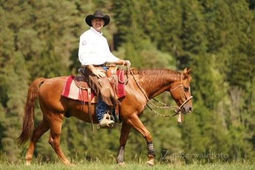 Pferdetrainer Bernd Hackl beim Reiten (Foto: Zauberwald)