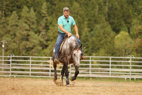 Pferdetrainer Bernd Hackl beim Reiten (Foto: Zauberwald)