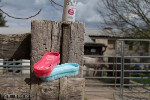 Pferd richtig Putzen: Magic Brush