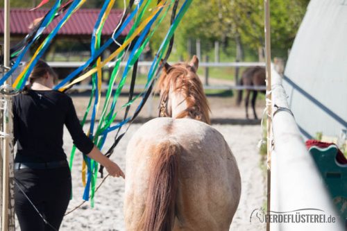 Geschafft - Pferd ist durch