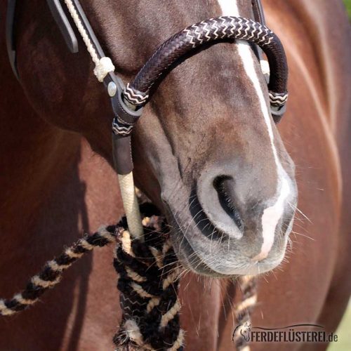 Bosal mit Mecate von Barefoot - BF-BSXX-XXXX/36