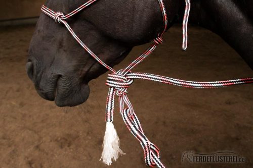 Hackamore knoten schritt 12