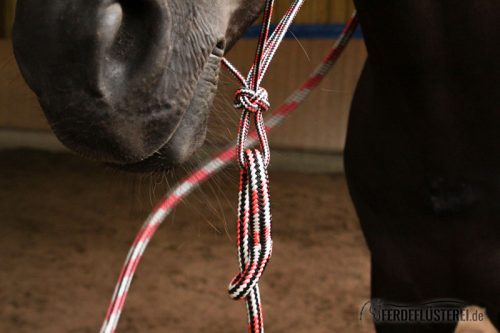 Öse am Rope
