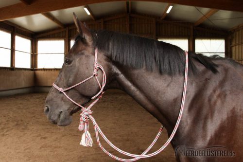Natural Hackamore knoten Fertig