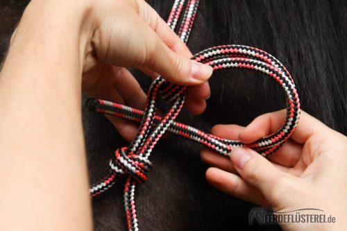 Knotenhalfter Knoten