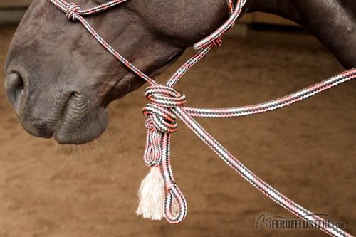 Natural Hackamore knoten schritt 15