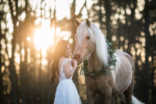 Pic by Alisa Konrad - Pferdefotografie