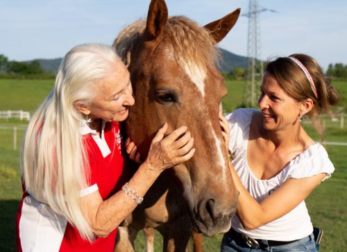 Curly Horse 2