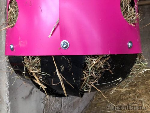 Stallwechsel Pferd Carey Fohlenhof Heutoy Heufresser