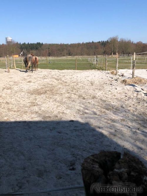 Stallwechsel Pferd Carey Fohlenhof Heutoy Heufresser