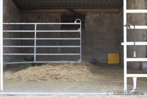 Stallwechsel Pferd Carey Fohlenhof Heutoy Heufresser