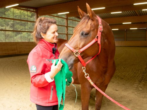 Anke Recktenwald Balance Pads Körperbänder Tellington