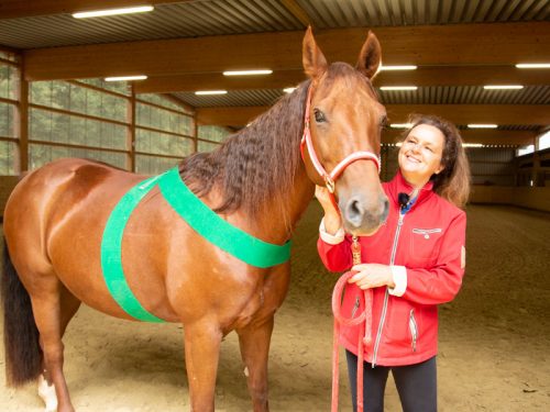 Anke Recktenwald Balance Pads Körperbänder Tellington