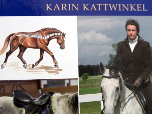 Gesundes Reiten