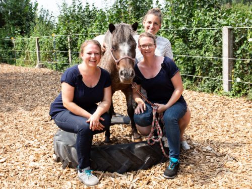 Pfergo Pferdeergotherapie Team Shettysport