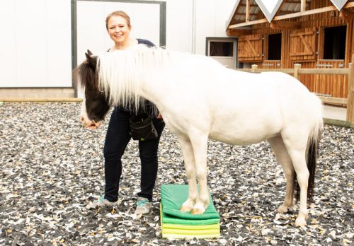 Pfergo Pferdeergotherapie Team Shettysport