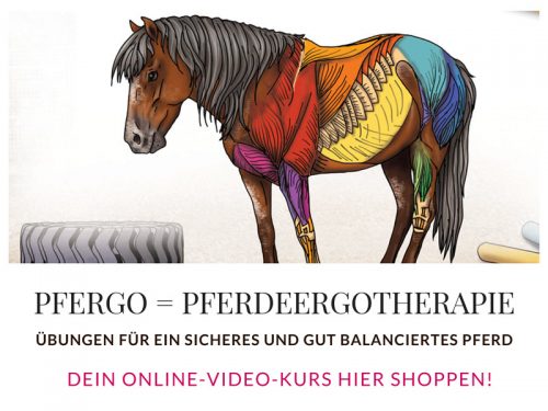 PFERGO! Wie du ein geländesicheres und gut balanciertes Pferd bekommst 1