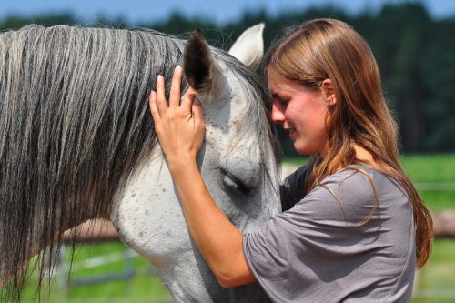 lisa-kittler-pferdetraining