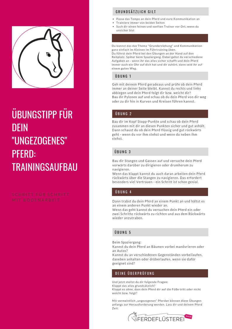 Ungezogenes Pferd? Die besten Tipps für deine Pferdeerziehung 1