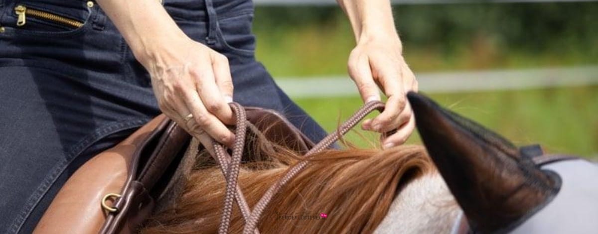 Reiten lernen mit Sattel und Zügel