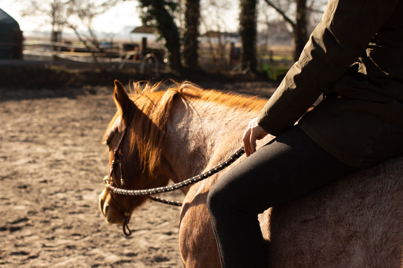 Angst beim Reiten? So wirst du sie mit einfachen Übungen wieder los 1