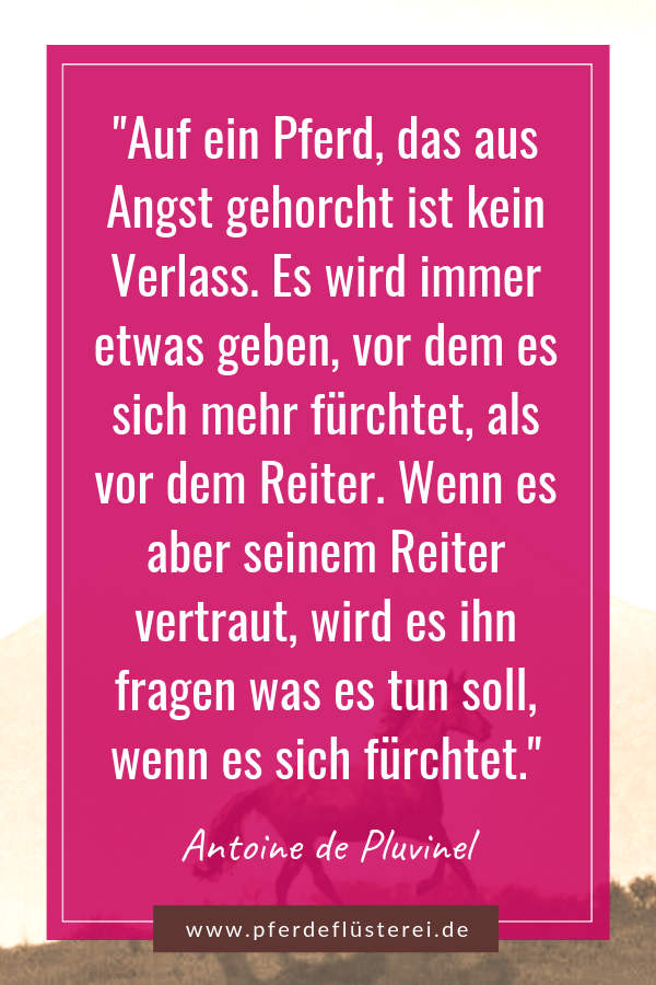 Dieses Zitat musst du lesen 2