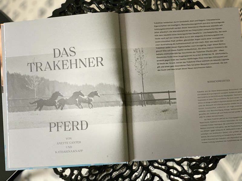Trakehner 4 Aus dem Buch "Trakehner Gestüt Murtal"