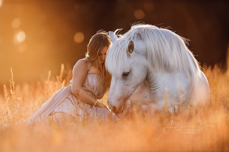 Die besten Tipps und Tricks für schöne Pferdefotos 11