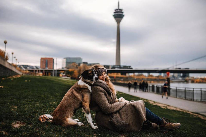 Die besten Tipps und Tricks für schöne Pferdefotos 7
