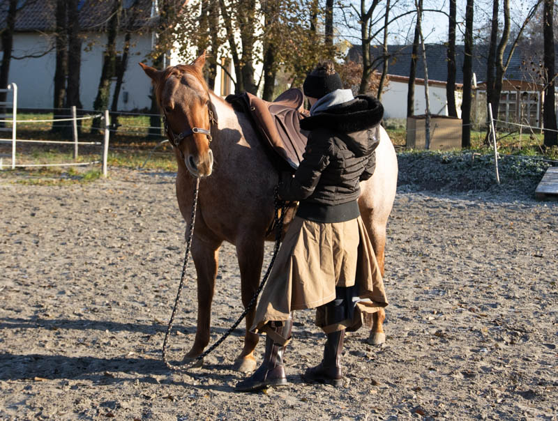 Pferde reiten! Warum das keine Selbstverständlichkeit ist 5