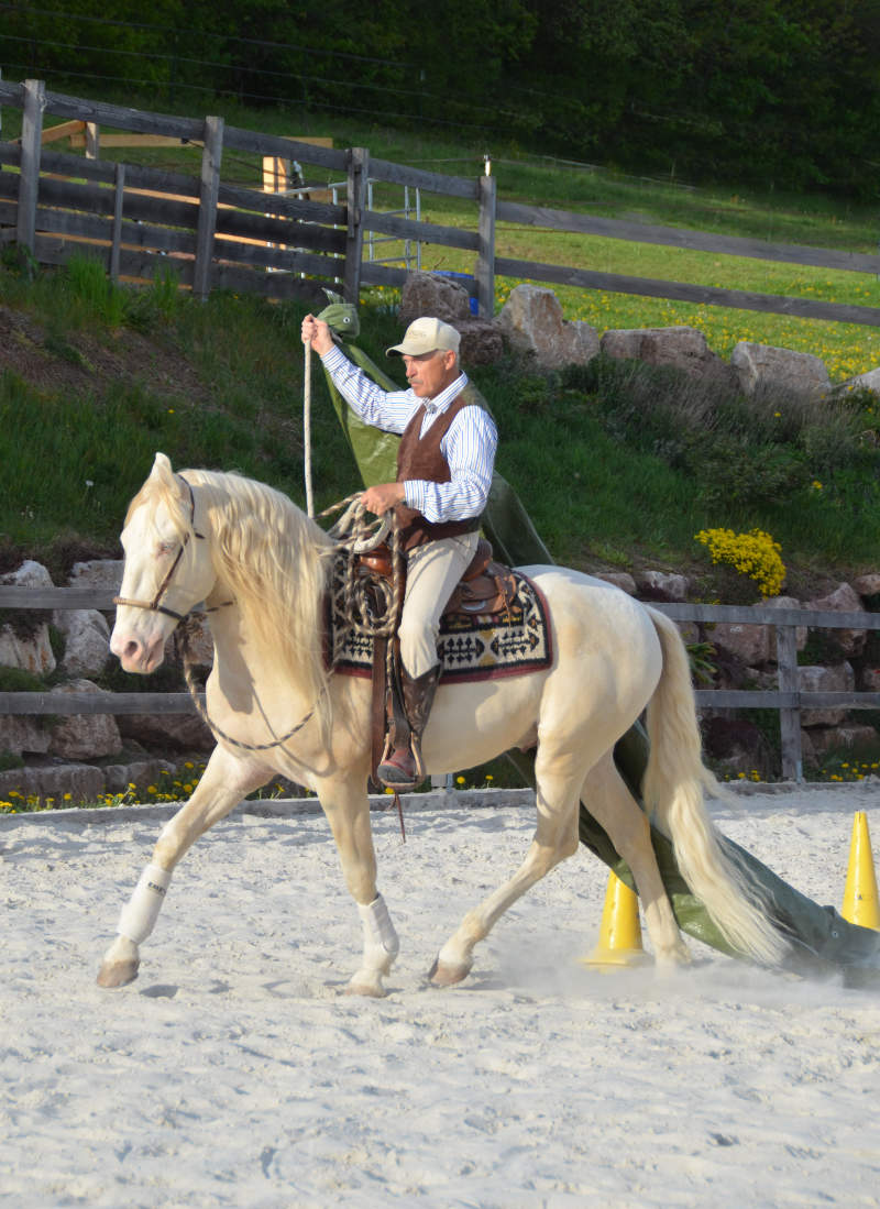 Was einen guten Umgang mit dem Pferd ausmacht 7