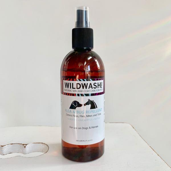 So gewöhnst du dein Pferd entspannt an die Sprühflasche 2