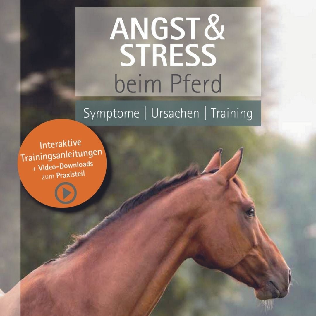 Buchcover Angst und Stress beim Pferd