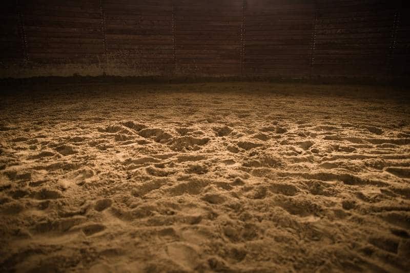 Bodenarbeit: Tipps ohne Reitplatz oder Halle 1 Bild eines Reithallenbodens