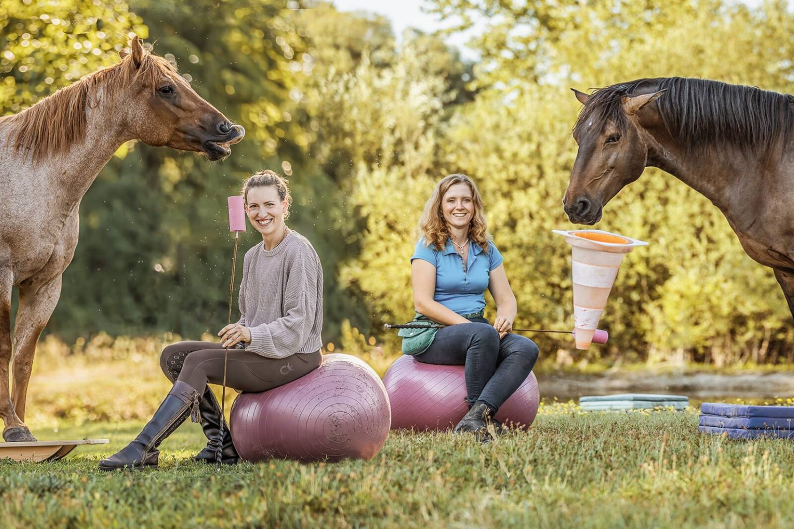 Hero und Petra mit Jezebel und Carey beim Clickern