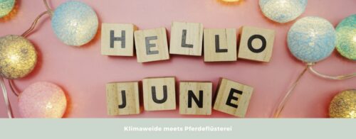Pferdeweide im Juni Slider