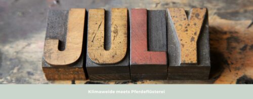 Klimaweide Juli